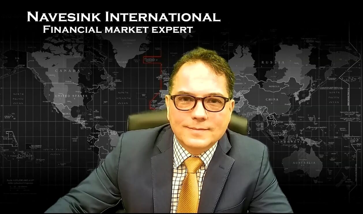 what-is-an-expert-witness-navesink-international