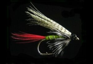 Fishing Fly